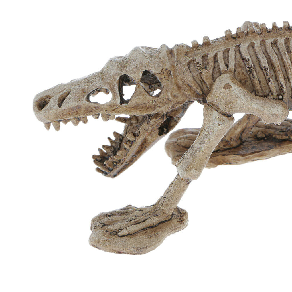 Decorative Ornament for Reptile Terrarium Vivarium Decor#6 Dinosaur Skeleton
