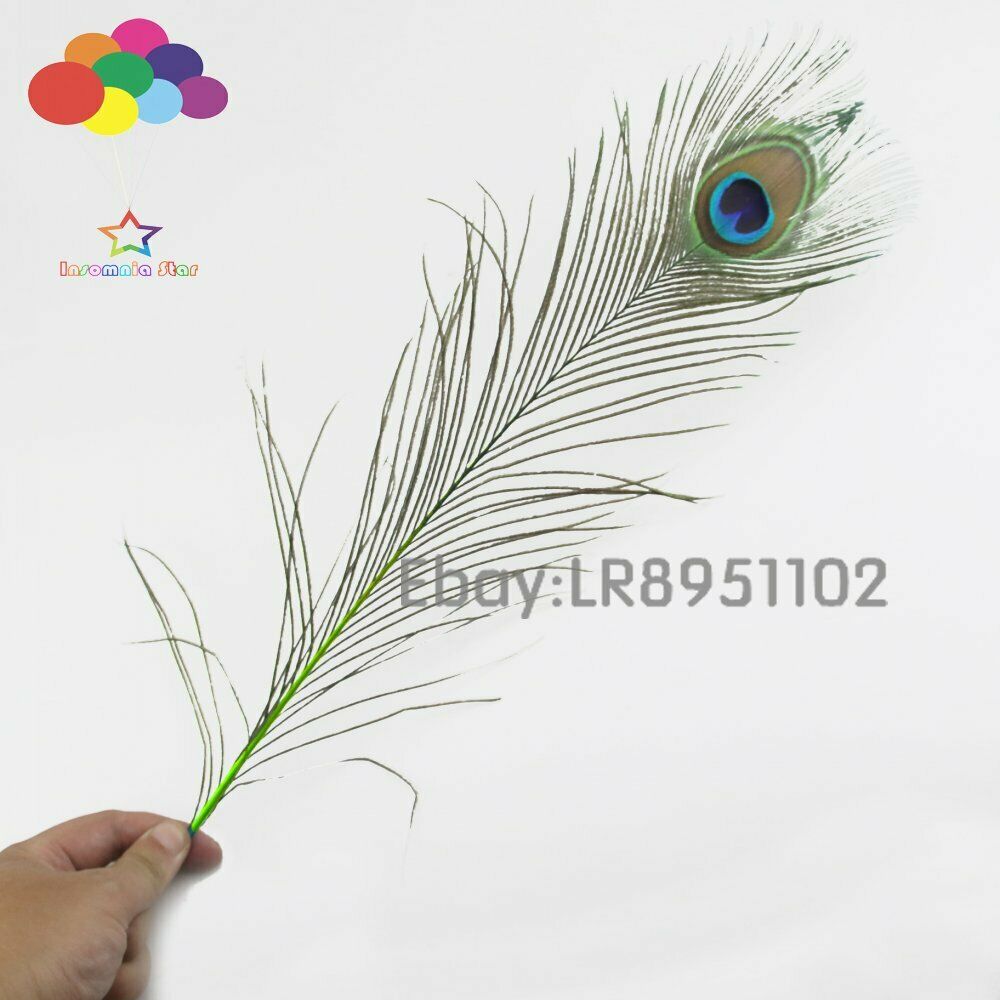 Fruit green crafts 40-45cm Peacock Eye Tail feathers DIY hair wedding party home