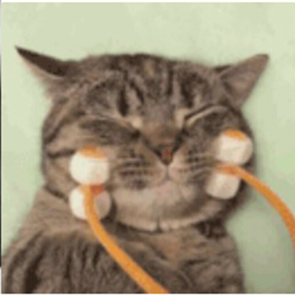 5Pcs Dog Cat Thin Face Massager Feet Legs Relief Tool Grooming Tool Rose Red