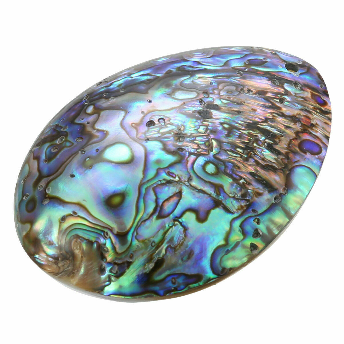 Natural Seashell Abalone Shell Pendant Jewellery Craft Gifts House Pendant Decor