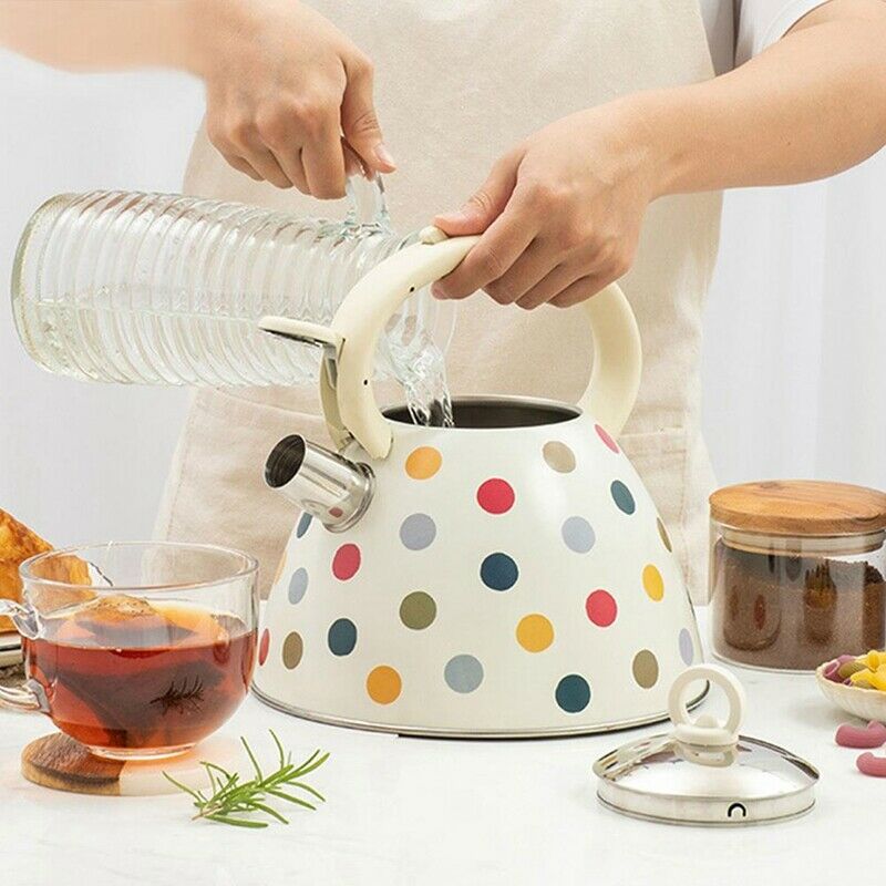 3L Stainless Steel Whistling Tea Kettle Teapot with Heat-Resistant Handle CoL3V9