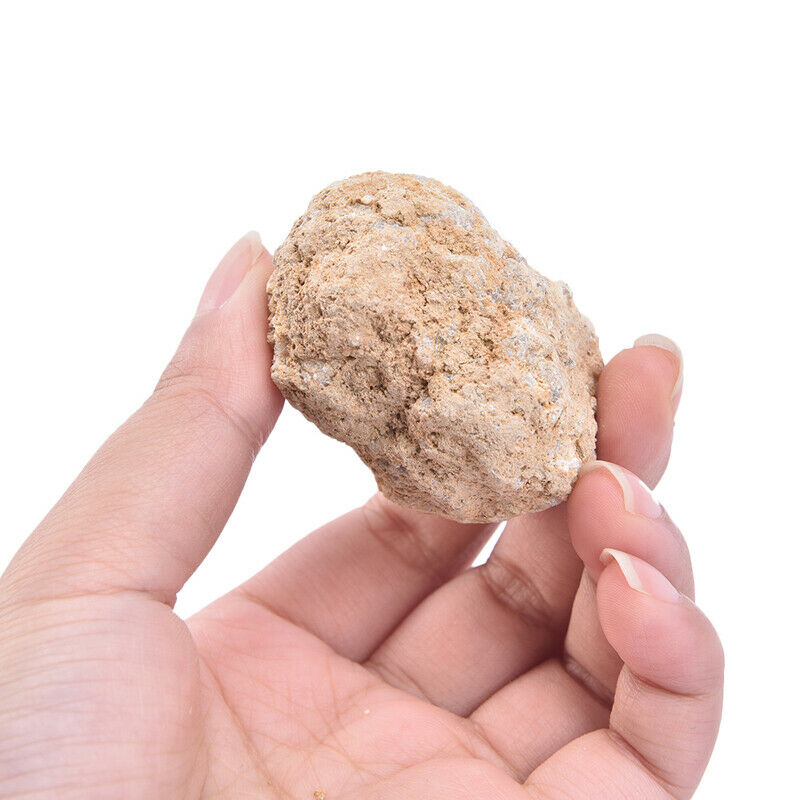 Geode Agate Raw Crystal Mineral Crystals Natural White Stone Cavity Irreg.l8