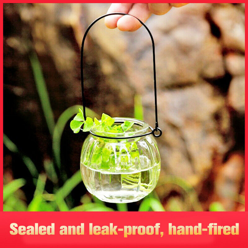 Hydroponic Vase Glass Bottle Pumpkin Flower Arrangement Small Hanging Bot SJ
