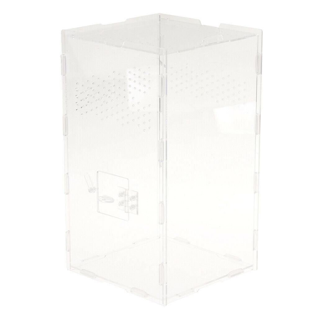 Ventilation & Clear Amphibian Spider Gecko Chameleon Feed DIY Box