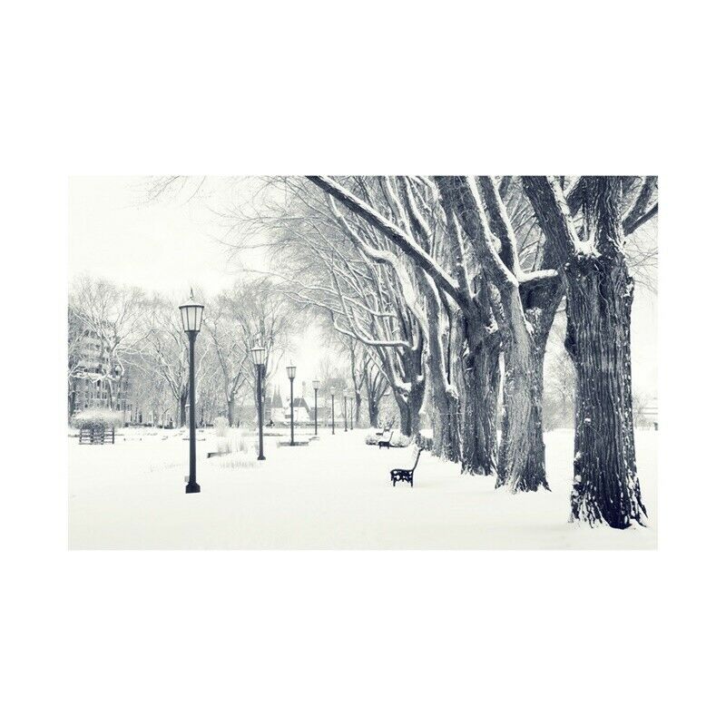 27*20in Winter Snowy Art Poster Wall Hanging Decoration Canvas Prints