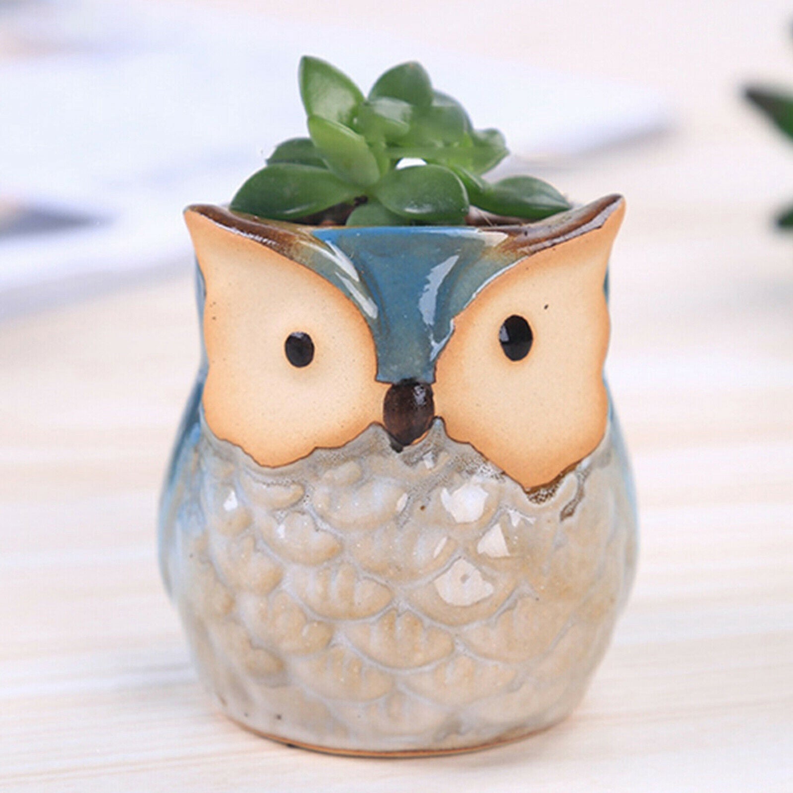 Mini Owl Succulent Plants Pots Flower Potted Plant Desktop Home Office Decor
