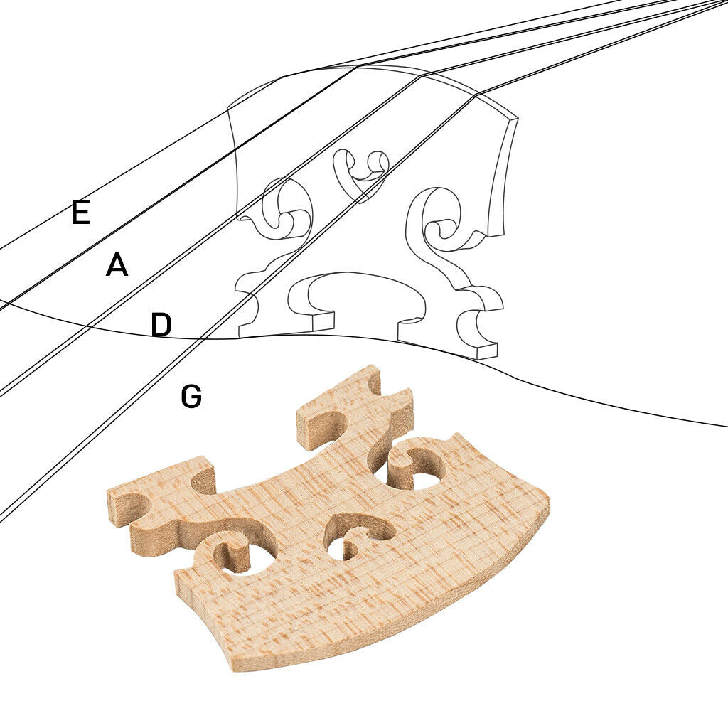 1x AA Grade Violin Bridge 4/4 for Violin Upgrade Replacement High Quality