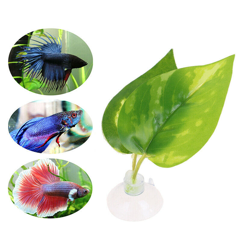 Betta Leaf Decor Landscaping Simulation Oviposition Rest Floating Aquariu.l8