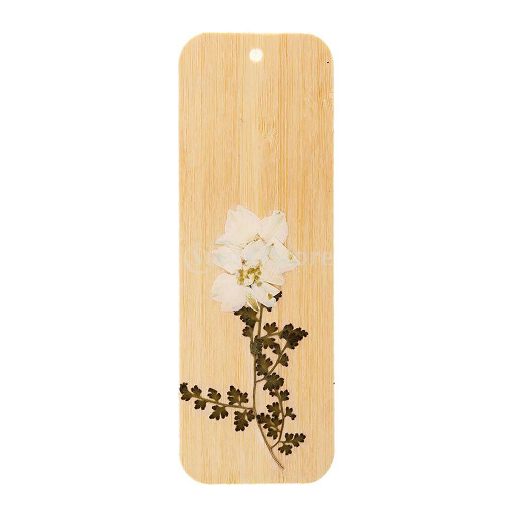 10 Pieces Dried Pressed Paludosum Daisy Flowers for DIY Art and Crafts
