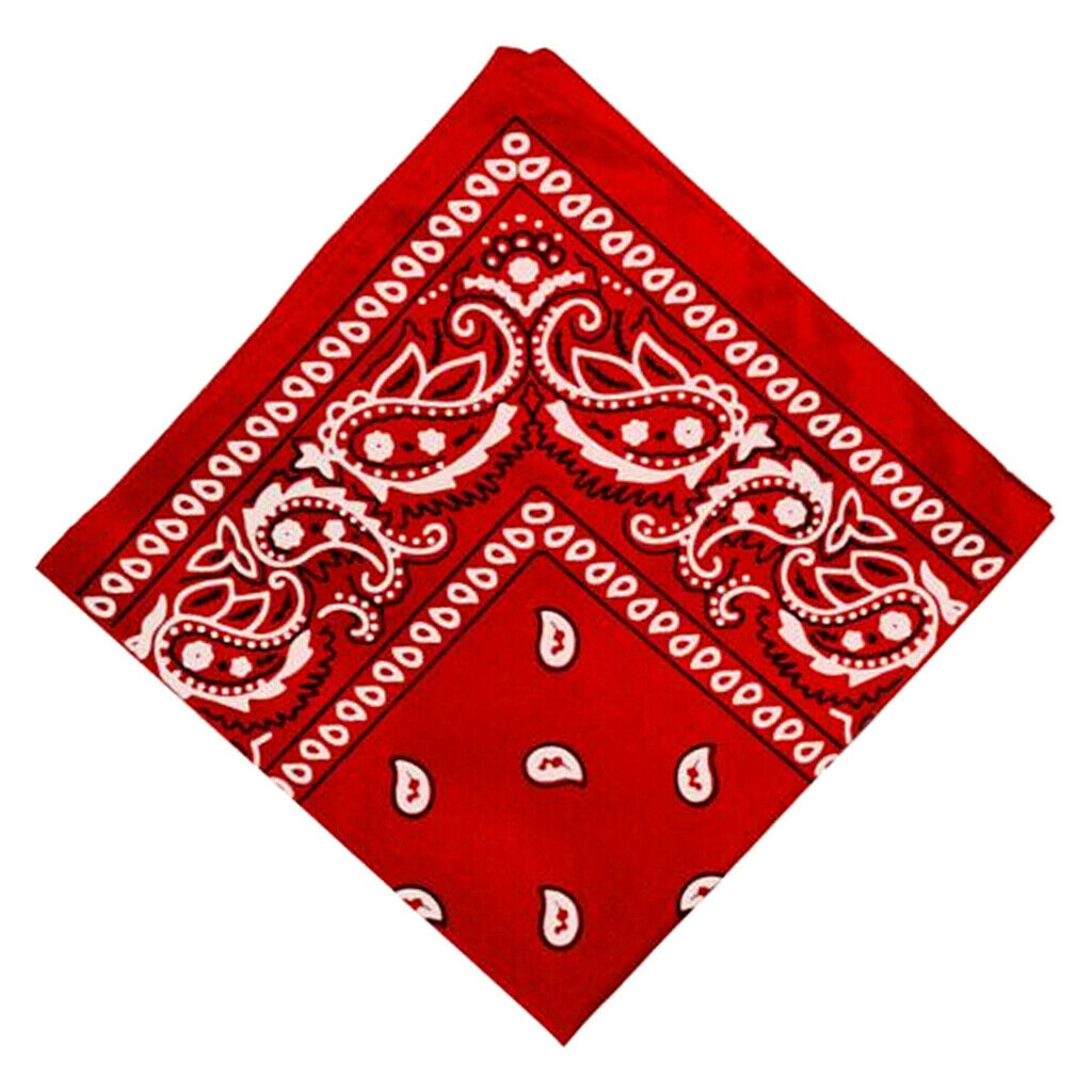 5 Pieces Cotton Double Sided Paisley Print Bandana Scarf Head Wrap Neck