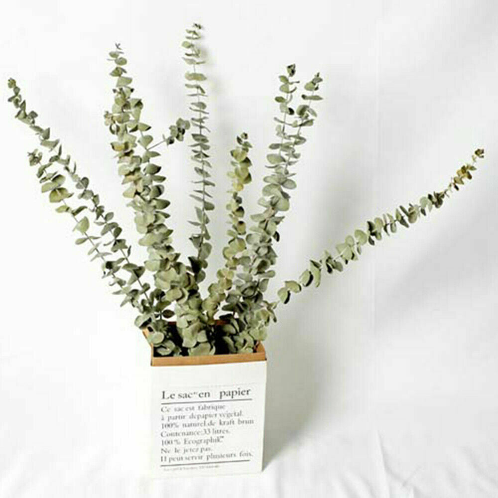 10x Natural Dried Flower Eucalyptus Branches Leaves Bouquets Home Decors hot