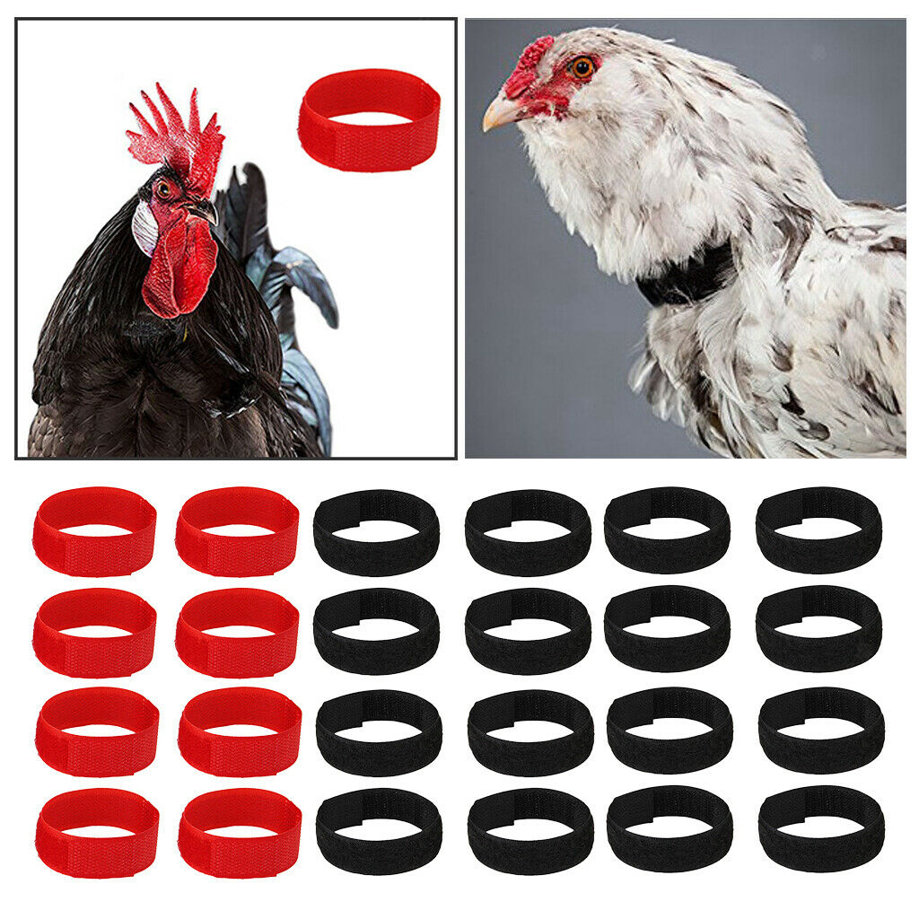 24Pcs No Crow Collar for Roosters Chicken No Crowing Belt Neckband Black&Red