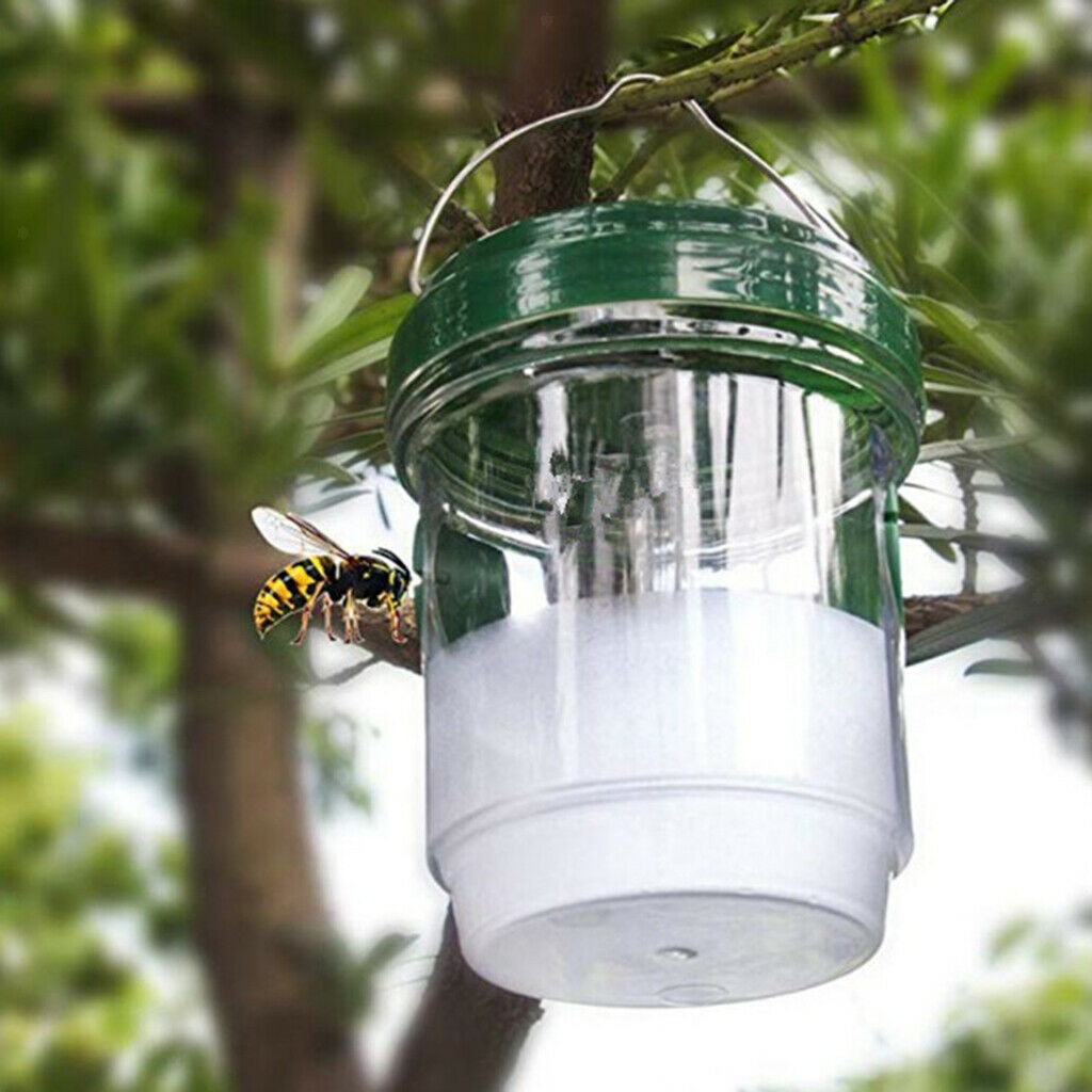Non-toxic Wasp Trap Solar Power For Bee Wasp