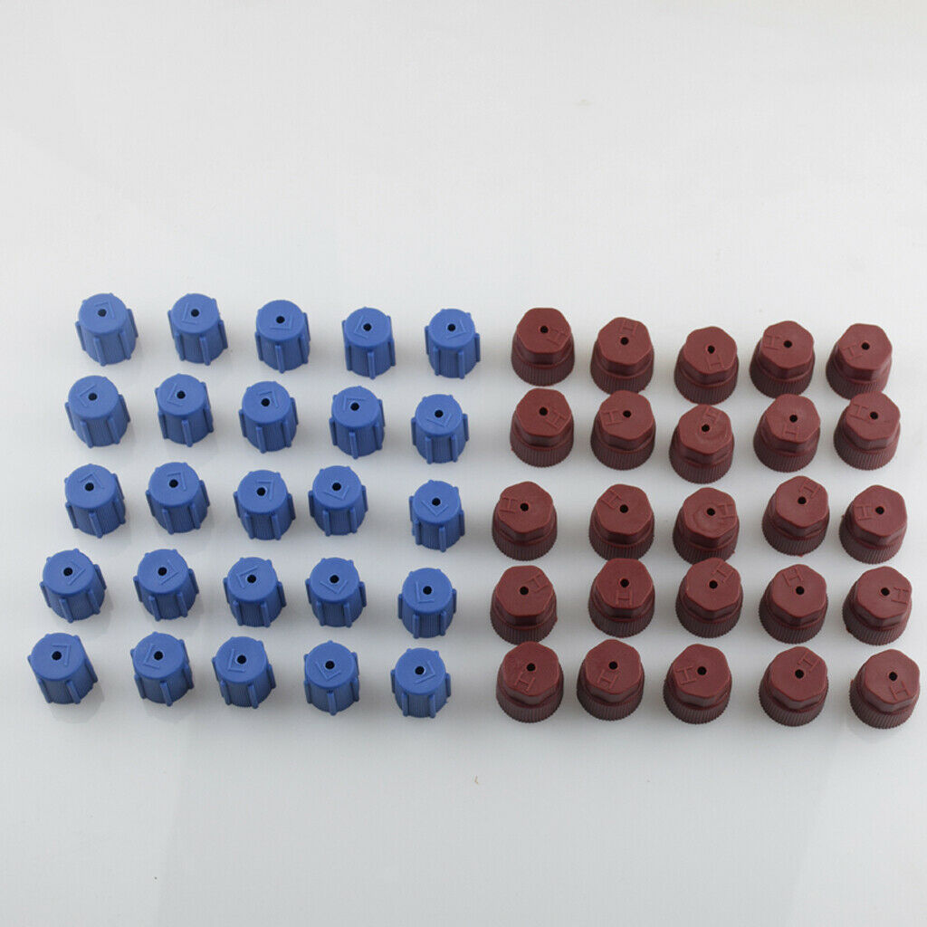 50 Pieces AC Charge Port Service Capsule R134a R12 13mm And 16mm Red Blue