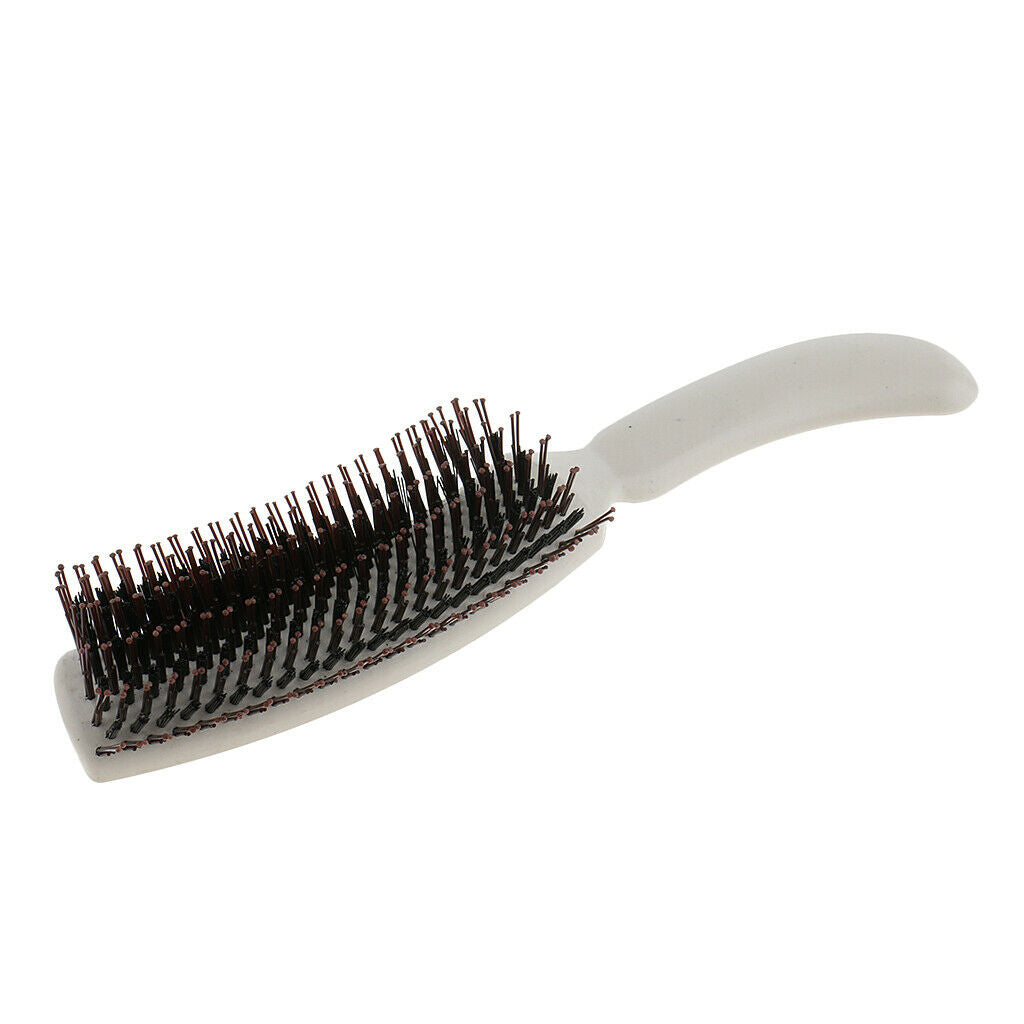 Professional Salon Styling Hairbrush Hair Brush Anti-Static Curling Long Hair