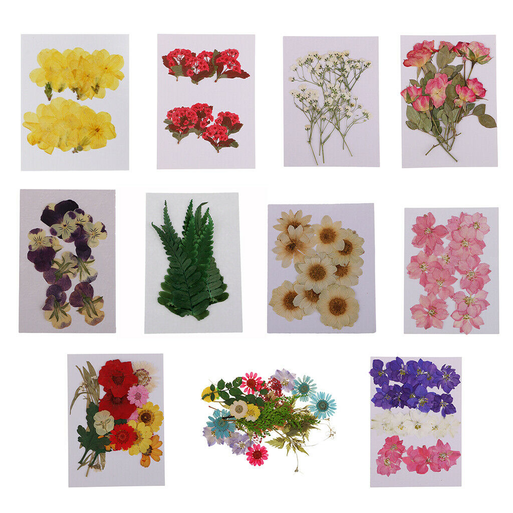 22pc Real Pressed Leaves Dried Flowers DIY Phone Case Decoration Card Making