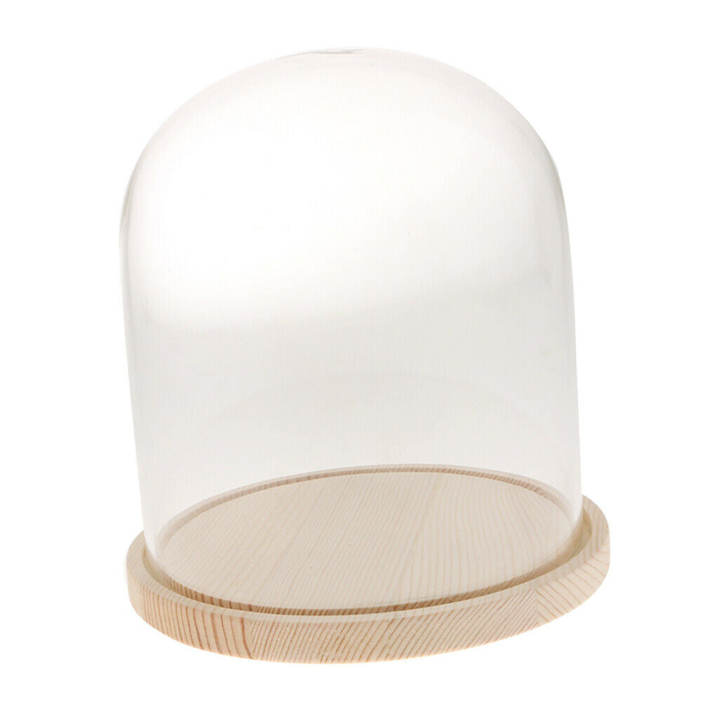 3pcs Glass Cloche with Wooden Base Retro Display Bell Jar Cover Dome 10x13cm