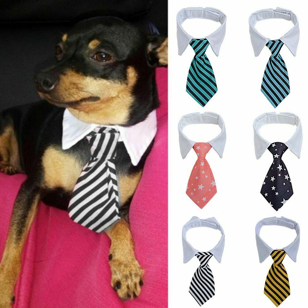 Medium Large Dogs Cats Striped Tuxedo Dog Necktie Collar Formal Bow Tie