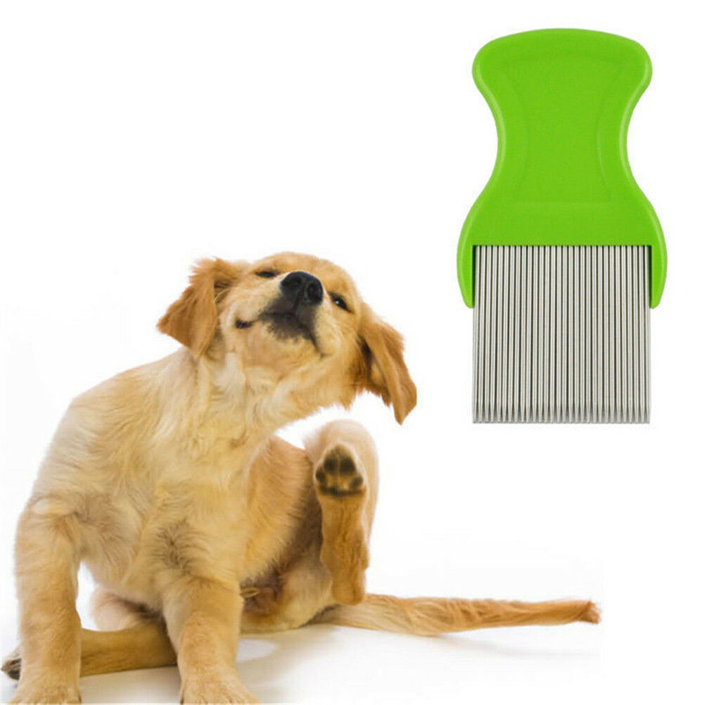 Comb Head Hair Lice Nit dog Safe Flea Eggs Dirt Dust Remover Steel Tooth .l8