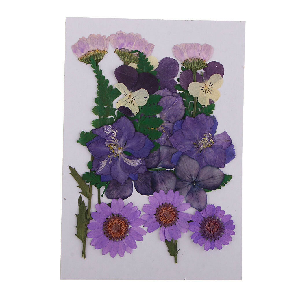 3 bags Dried Flower Leaf for Embellishment Crafts DIY Card Making Decor Ornament