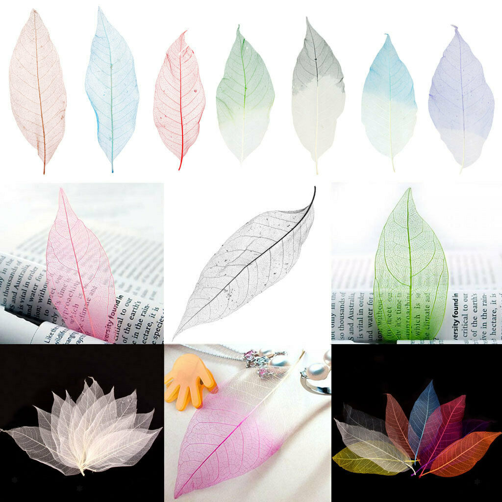 50Pcs Colored Skeleton Leaves Charms Scrapbooking Embellishments for Earring