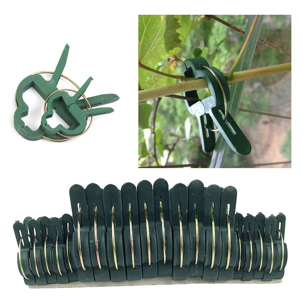 40 Pieces Reusable Plant Support Clips Garden Ties for Plants Flowers Vegetables