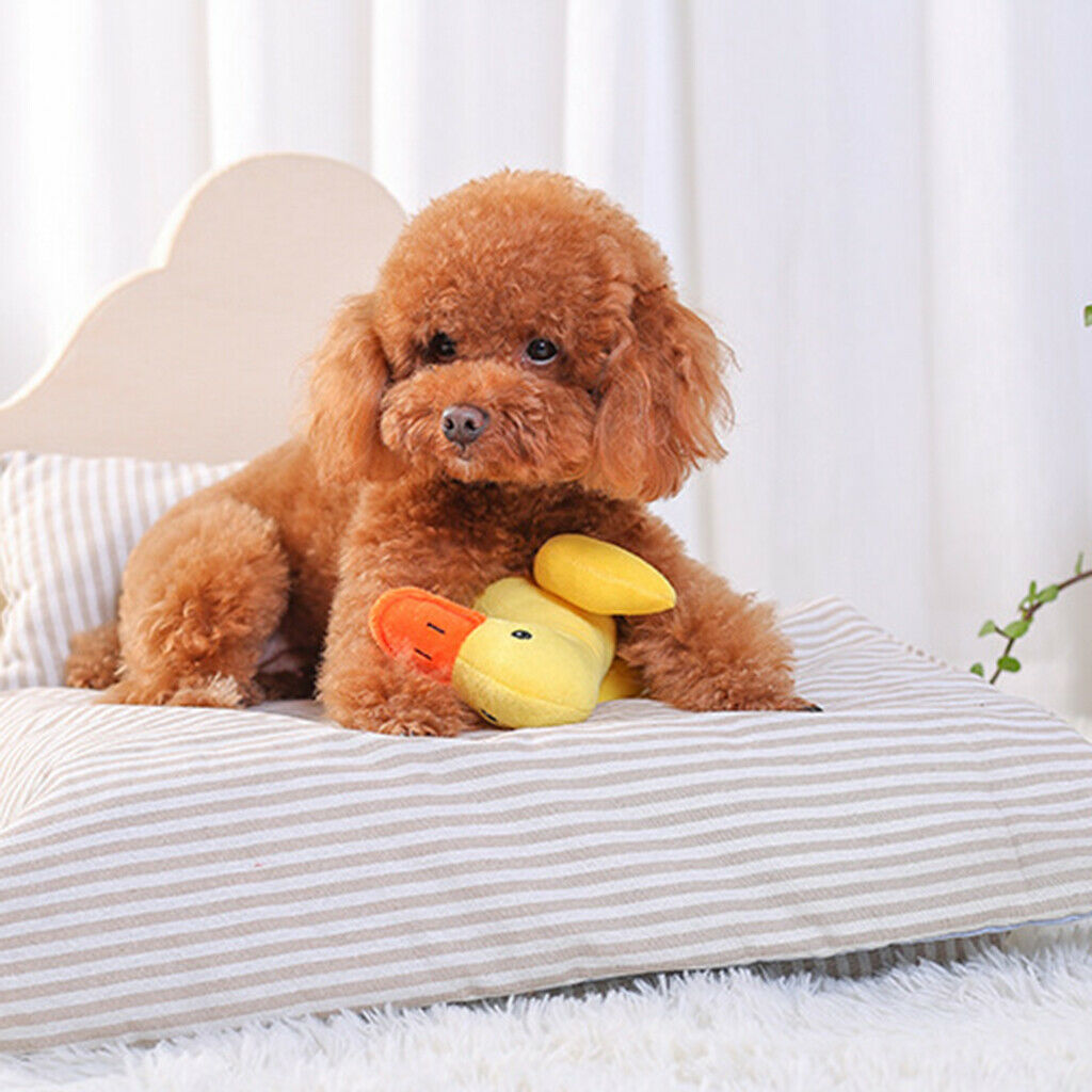 Plush Cute Dog Squeaky Toys for Puppy Small Medium Dogs