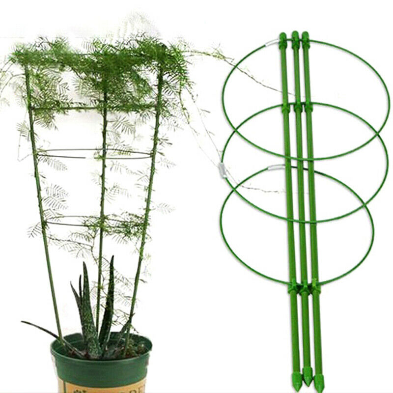 Vine Climbing Rack 60cm Flower Plant Trellis Plant Support Frame Garden JCAUJ NL