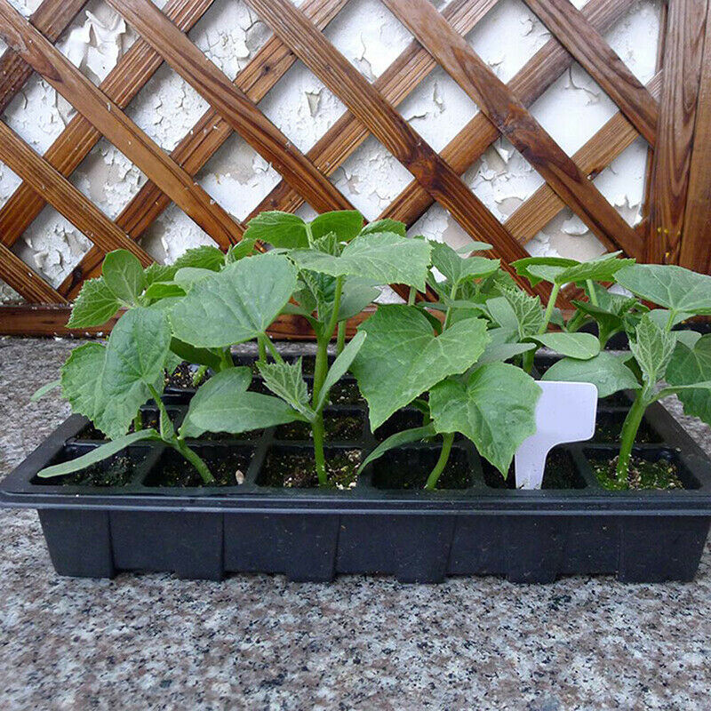 1PC Plant Nursery Pot Planting Tray Kit Germination Box With Lid Home Garden