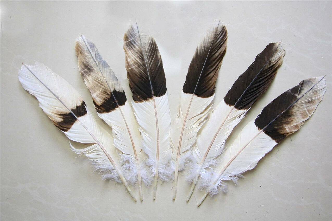 12pcs natural tail Feathers dyed coffee 12-16 inch/30-40 cm Carnival Diy costume