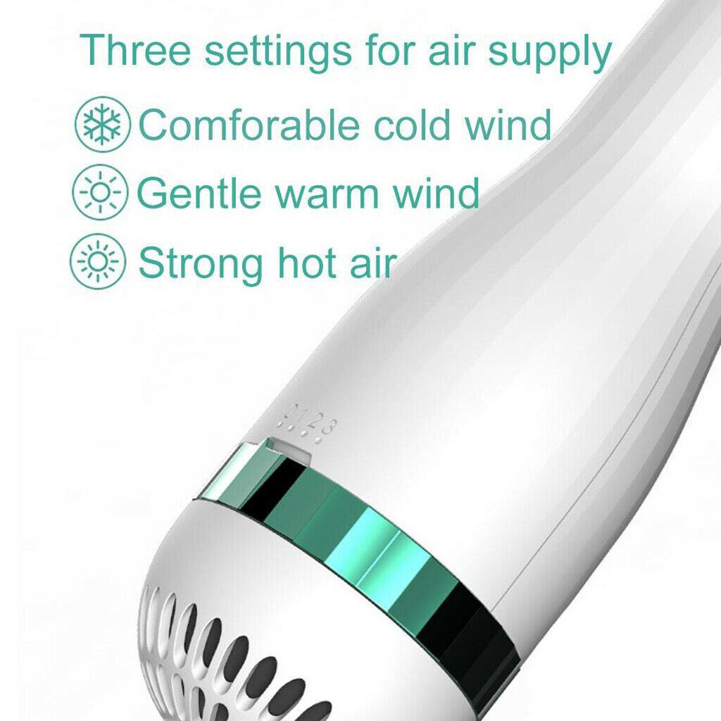 3-Wind Pet Hair Dryer 2 In 1 Pet Grooming Brush Dog Cat Keep Soft Neat UK Plug