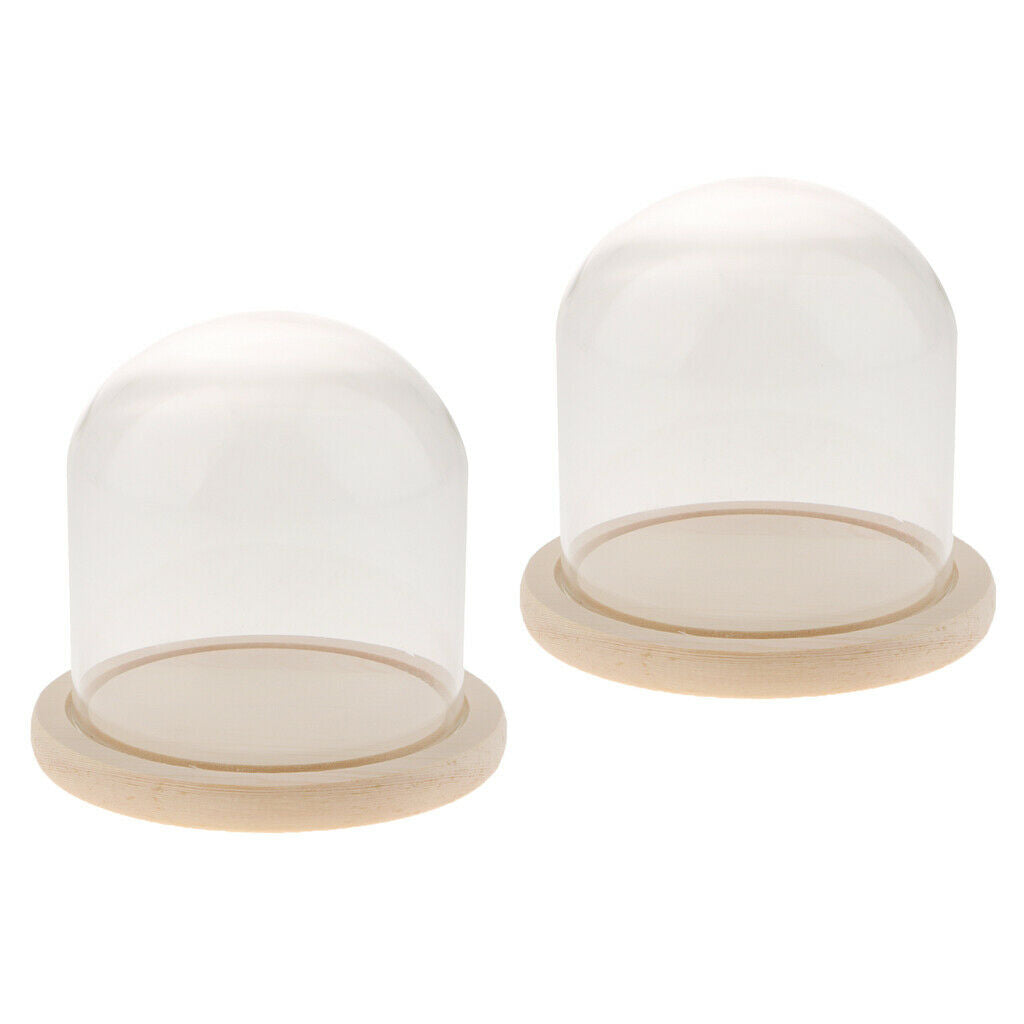 Glass Cloche Micro Landscape Plant Flower Mini Garden Dome Cover Vases