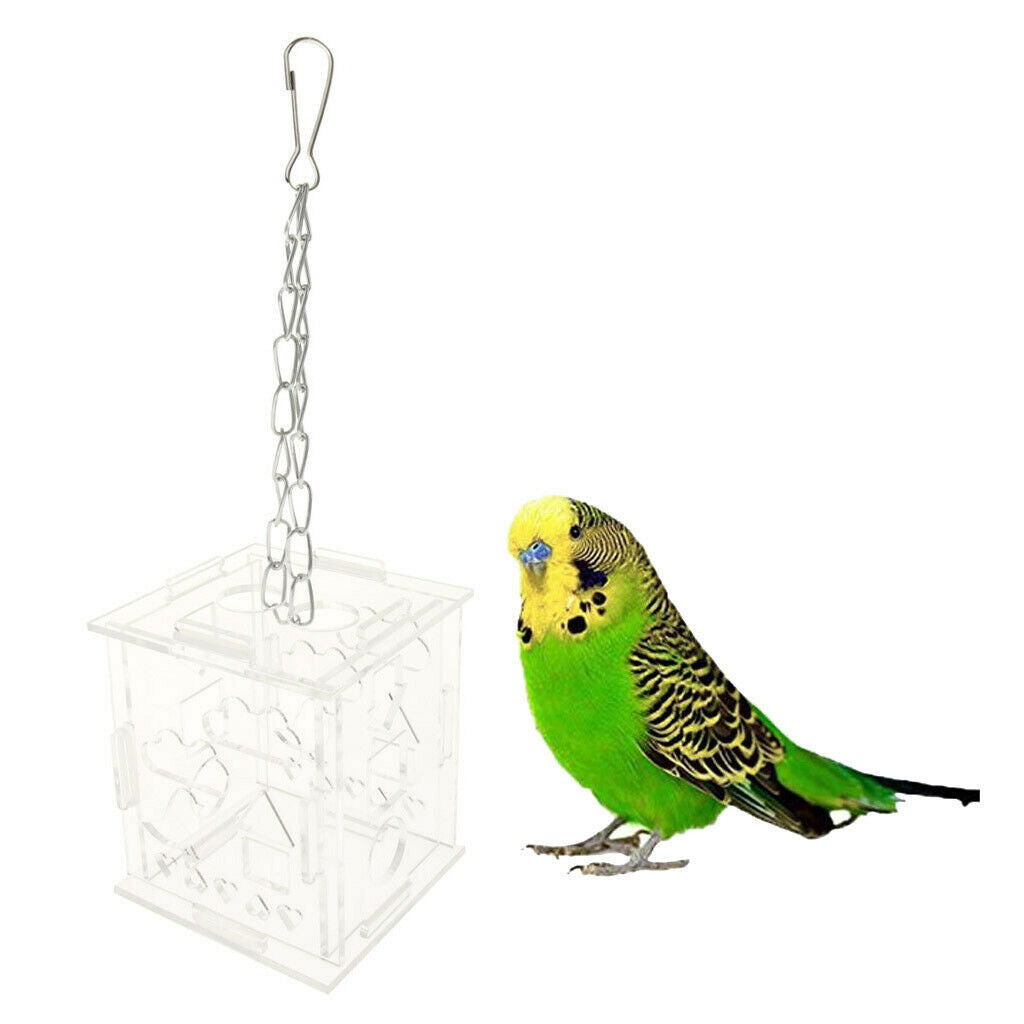 Clear Acrylic Parrot Bird Cage Feeder Hang Foraging Toys Bird Supplies