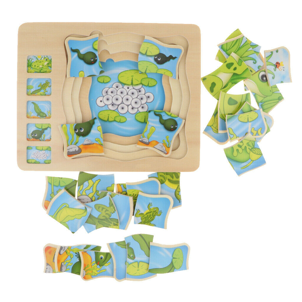 Frog Layer Puzzle, Wooden Stacking Puzzle, Children's Intelligence