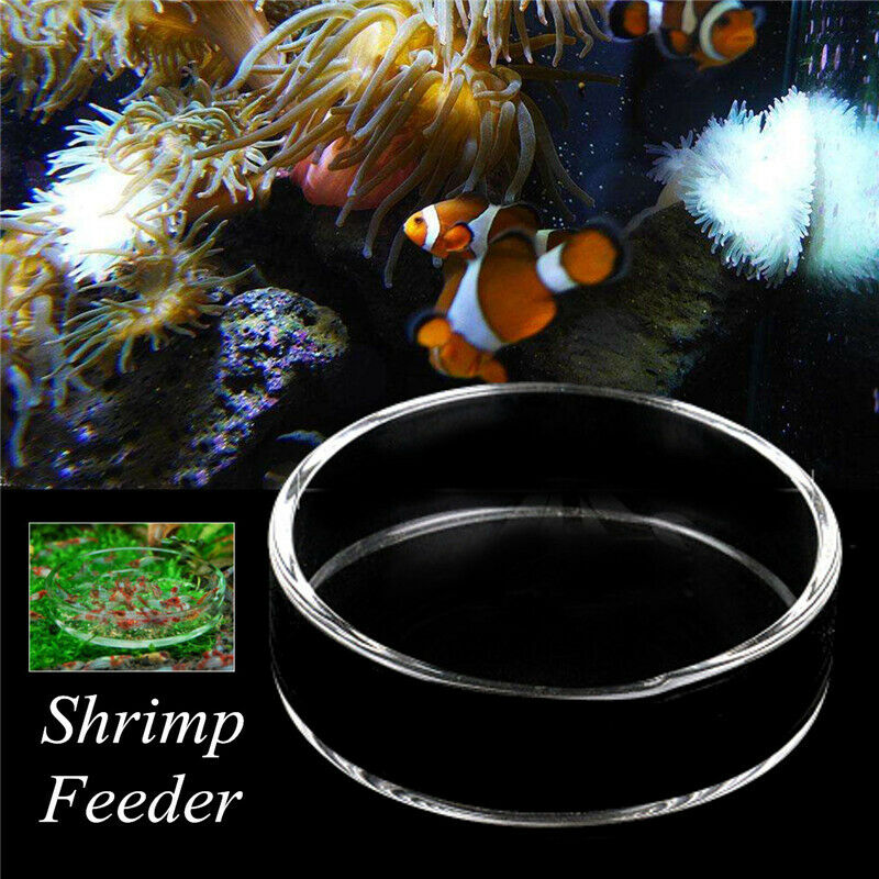 Clear Glass Shrimp Feeding Food Dish Feeder Tray Round Container Aquari.l8