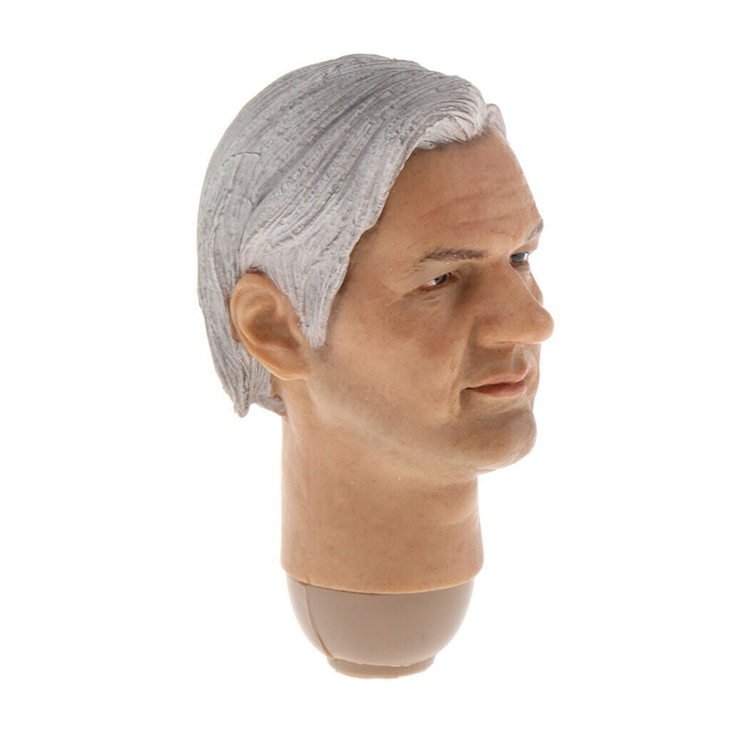 1/6 Mans Carving Head Sculpt for 12'' Hottoys TC Dragon DML BBI DID Body