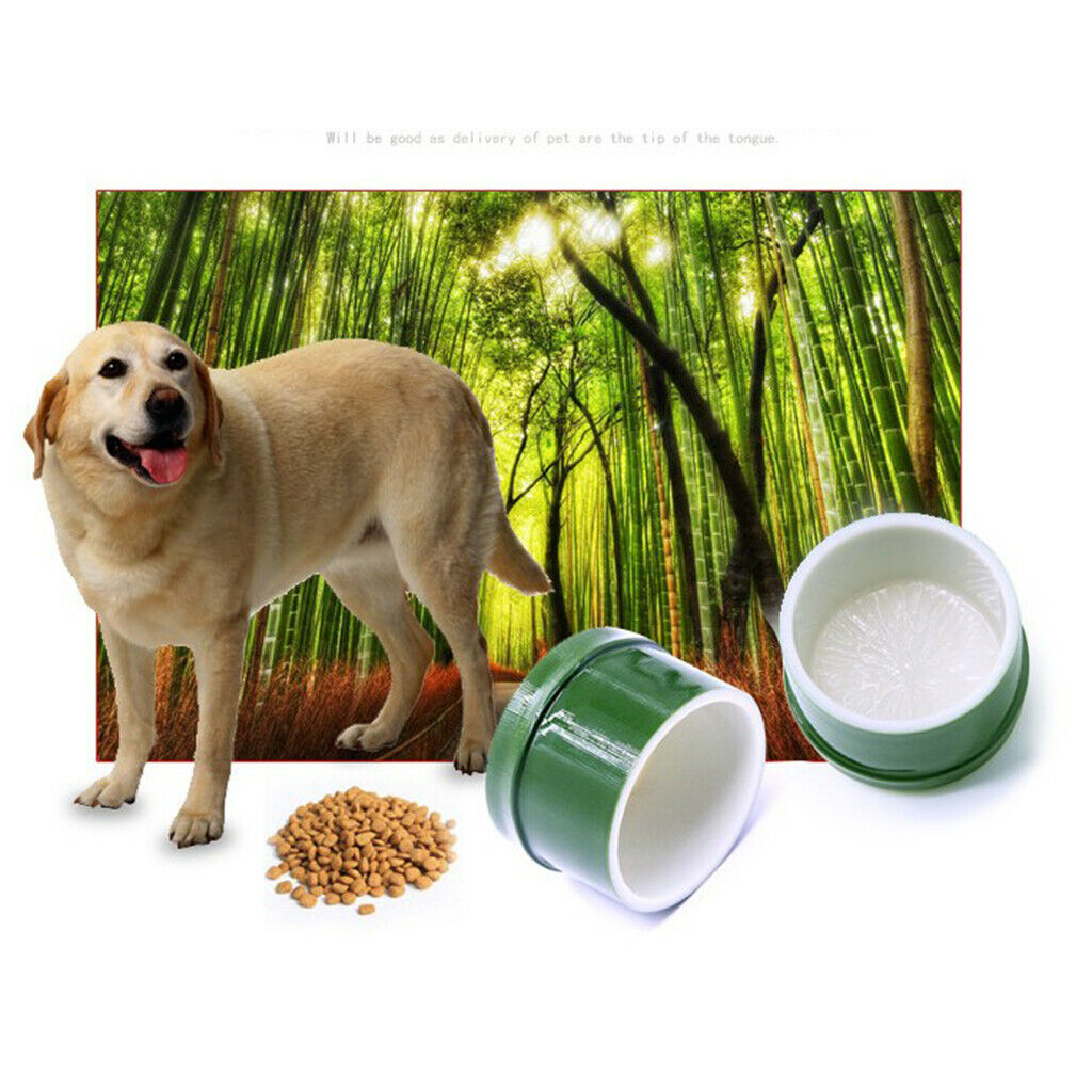 Plastic Pet Feeding Plate Reptile Feeding Bowl Food Water Dish Yellow