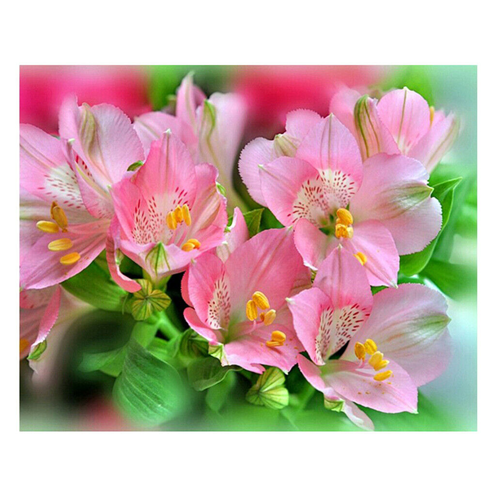 Pink Flowers DIY 5D Diamond Painting Embroidery Cross Stitch Kit Home Decor