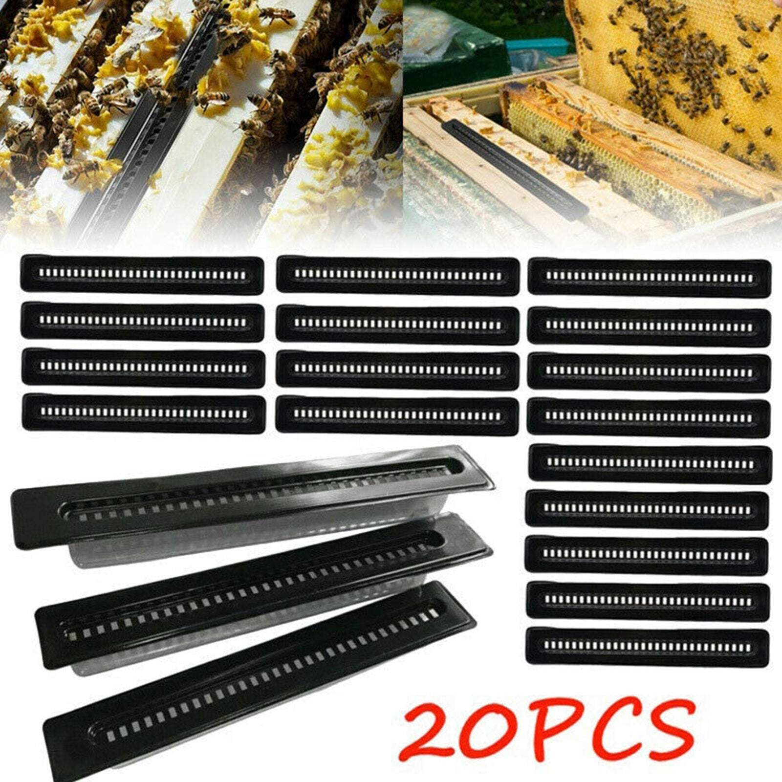 20pcs Black Small Bee Hive Beetle Blaster BeeHive Beetle Trap Beekeeping Tool