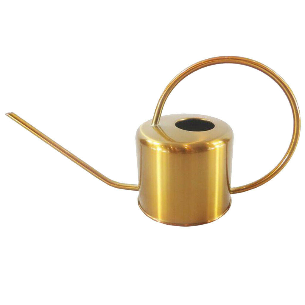 Golden Houseplant Watering Can Long Spout for Flower Bonsai Modern Style