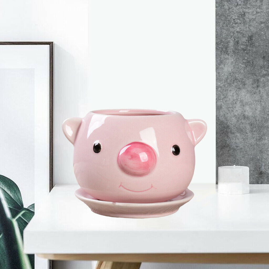 Cartoon Cute Succulent Pots Flower Pot Cactus Bonsai Plants Planter Home Pig