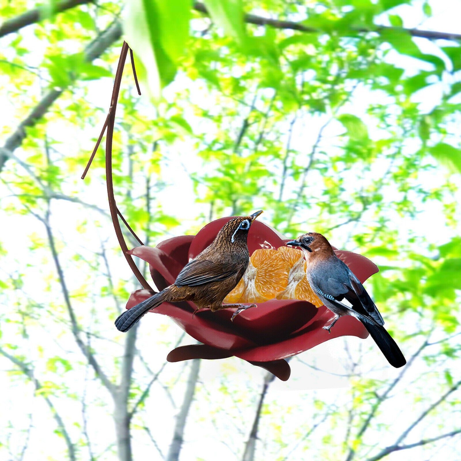 Iron Hanging Hummingbird Feeder Flower Bird Feeding Supplies Outside Decor