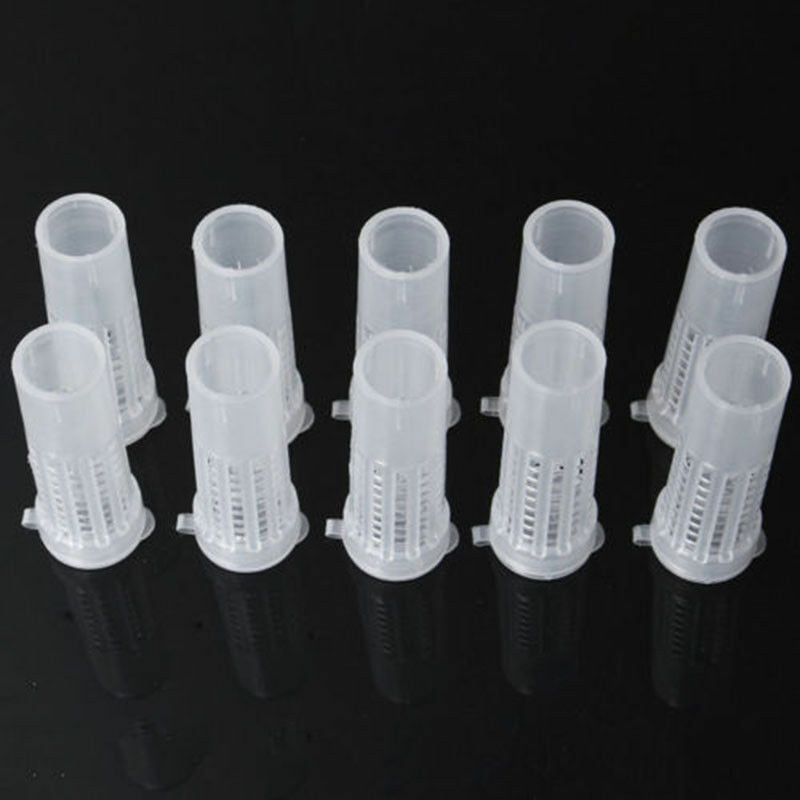 Complete Queen Rearing Cupkit System Bee Beekeeping Catcher Box & 100 Cups Cell