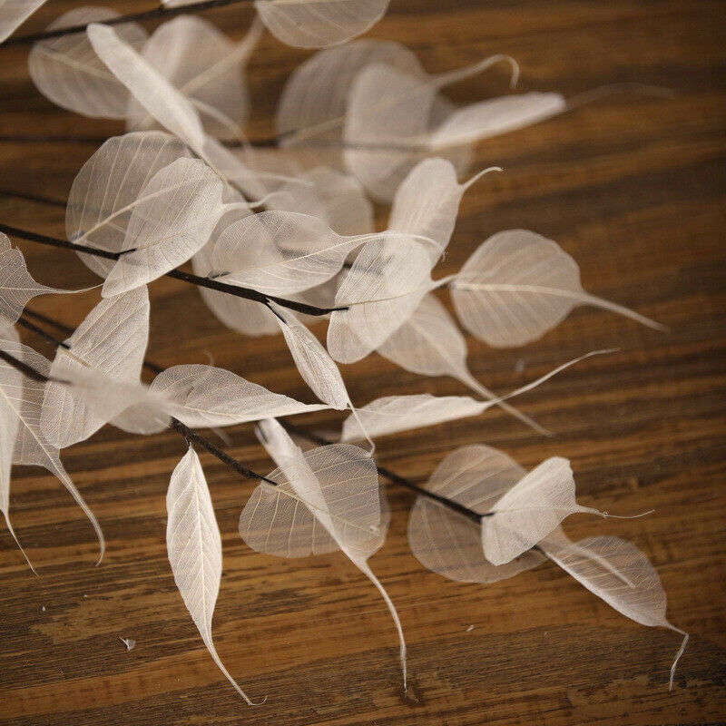 55cm Natural white Bodhi leaf vein Branch dried Flower wedding flower P1 TwJ.DD
