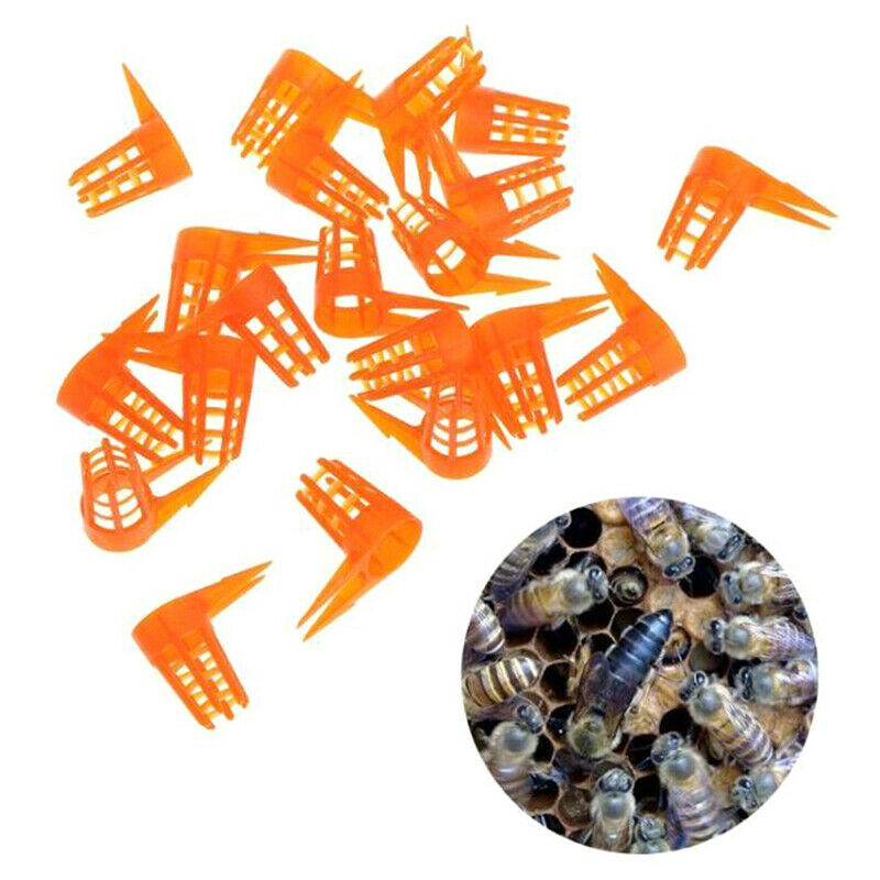 20Pcs/Set Bee Queen Cell Cover Beekeeping Tool Beekeeper Plastic Cage Protect Rf