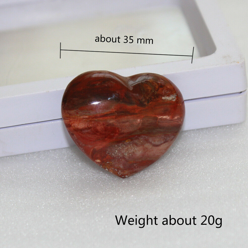 1PC Natural Red Petrified Wood Heart Fossilized Crystal Agate Mineral Madagascar