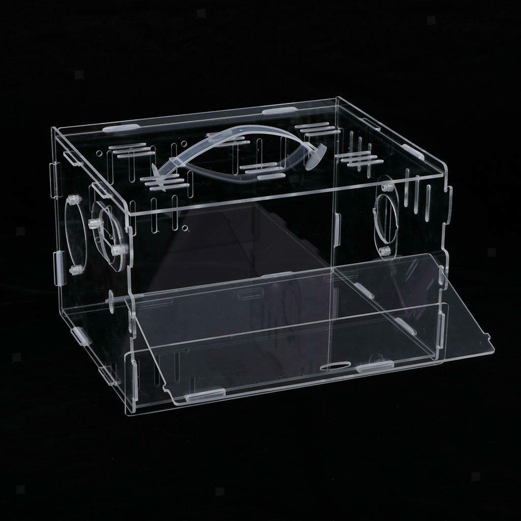 Acrylic Hamster House with Lid - single layer