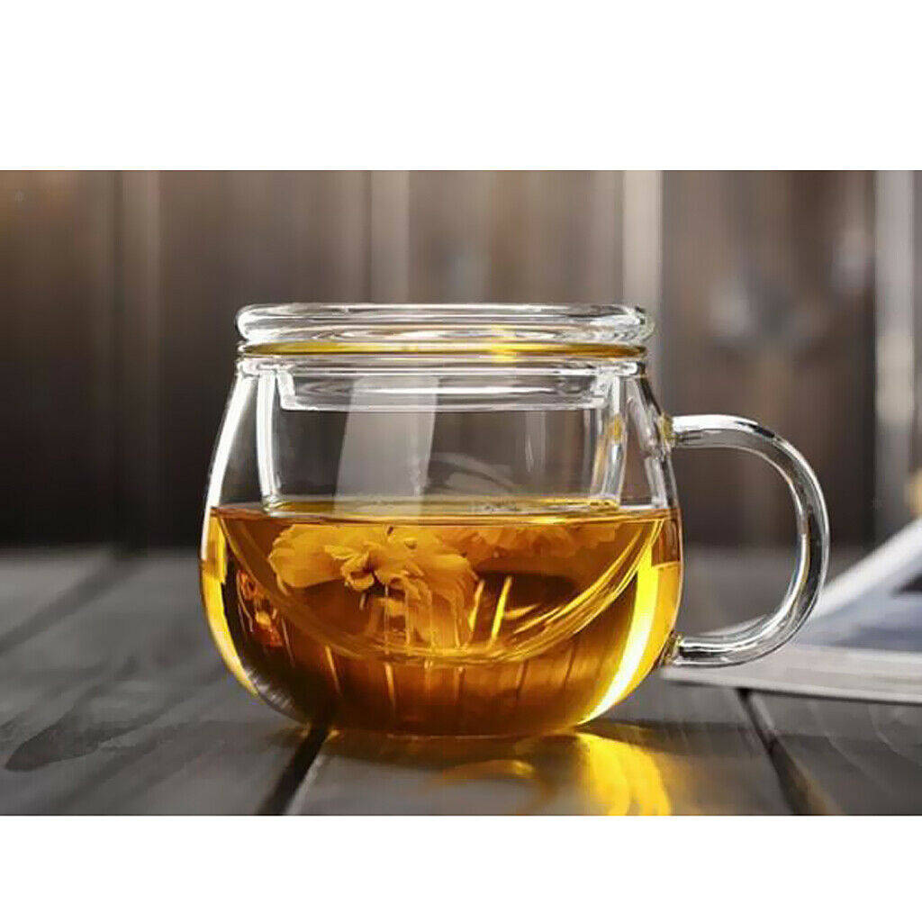 -Resistant Transparent Glass Cup Tea Cup with Lid Infuser Filters 350ml