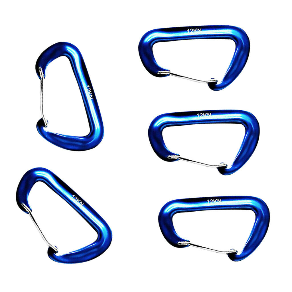 5 Pieces 12KN   Climbing Carabiner Clip Keychain Hammock Hook blue