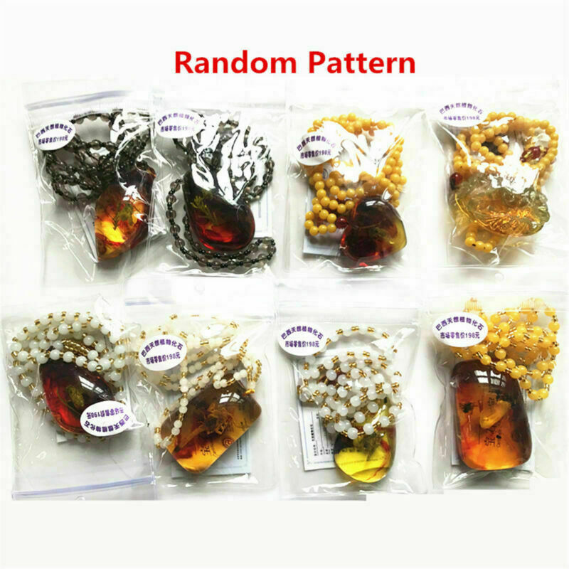 Beautiful Natural Amber Contain Insect Scorpion Beetle Spider Pendant Necklace